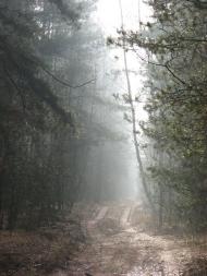 Малійки з panoramio.com