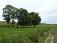 Васьківчики - Останні фото