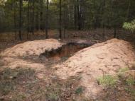 Скрипаї з panoramio.com