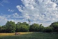 Клебан-Бик з panoramio.com