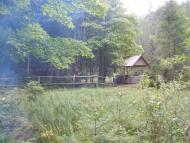 Нижній Яловець з panoramio.com