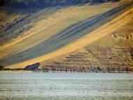 Каштанівка з panoramio.com