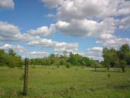 Привільне з panoramio.com