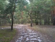 Волиця з panoramio.com