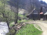 Зубриця з panoramio.com