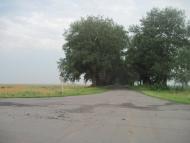 Дружба з panoramio.com