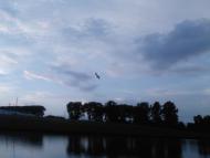 Базалія з panoramio.com