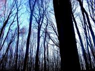 Демня з panoramio.com