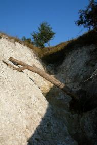 Дворічна з panoramio.com