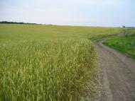 Журівка з panoramio.com