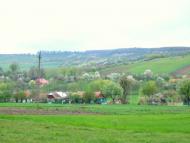 Чижки з panoramio.com