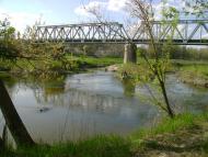 Білики з panoramio.com