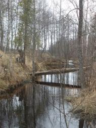 Великі Телковичі з panoramio.com