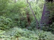 Осьмаки з panoramio.com