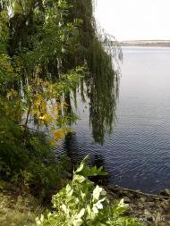 Миронівський з panoramio.com