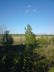 Привільне з panoramio.com