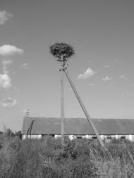 Лебедівка з panoramio.com