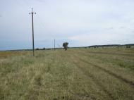 Салтикова Дівиця з panoramio.com - Салтыкова Девица