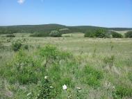 Строгонівка з panoramio.com