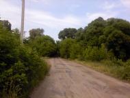 Осьмаки з panoramio.com