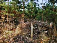 Заудайка з panoramio.com