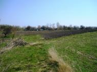 Луциківка з panoramio.com