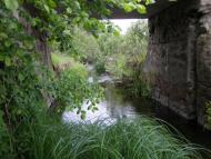 Сарновичі з panoramio.com