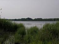 Дніпровка з panoramio.com