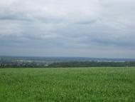 Садки з panoramio.com