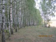 Гмирянка з panoramio.com