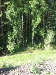 Мала Олександрівка з panoramio.com