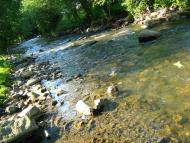 Лопушне з panoramio.com