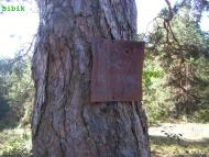 Губин з panoramio.com