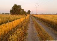 Бурківка з panoramio.com