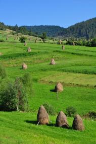 Козьова з panoramio.com - Козева
