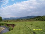 Порошково з panoramio.com