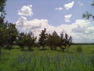 Райське з panoramio.com