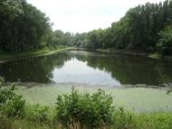 Миронівський - Останні фото