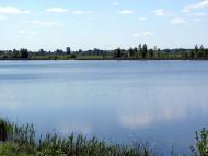 Замостя з panoramio.com