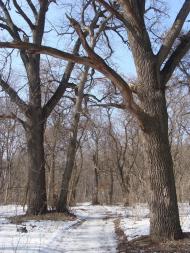 Мала Стариця з panoramio.com