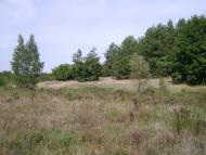 Радуль з panoramio.com