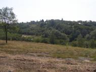 Моринці з panoramio.com
