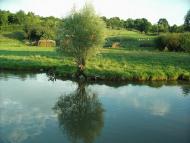 Батьки з panoramio.com