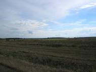 Салтикова Дівиця з panoramio.com - Салтыкова Девица