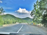 Лопушна з panoramio.com