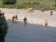 Березово з panoramio.com