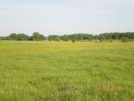 Червоні Партизани з panoramio.com