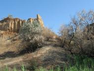 Лугове з panoramio.com