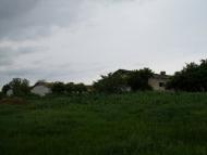 Нові Бутори з panoramio.com