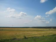 Пашенівка з panoramio.com